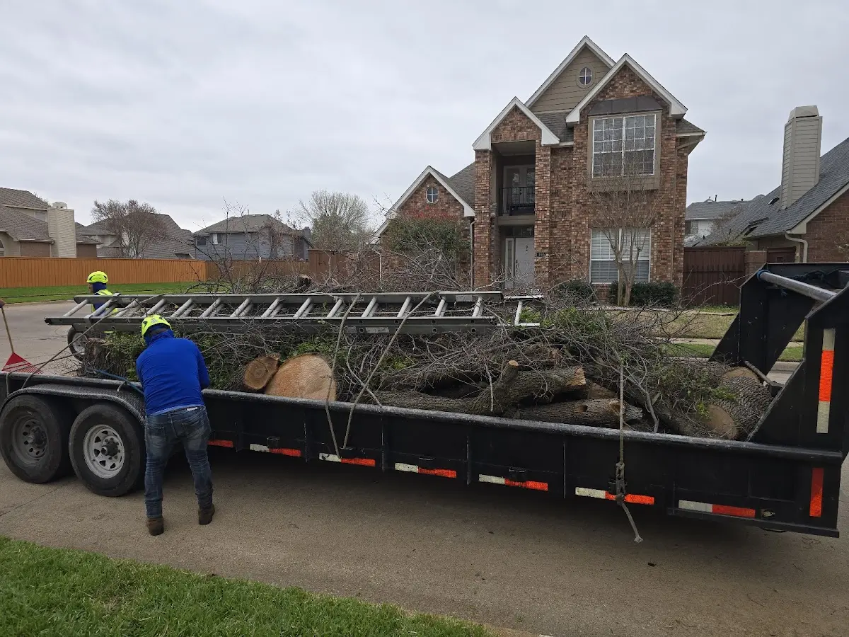 Expert Tree Fertilization with proper safety equipment in Chesterfield